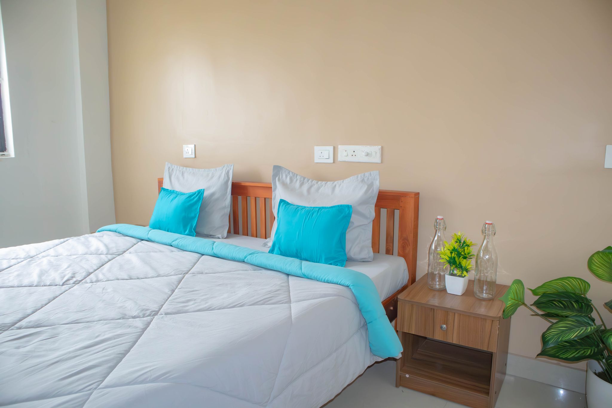 Z Express Einstein Deluxe Queen 2