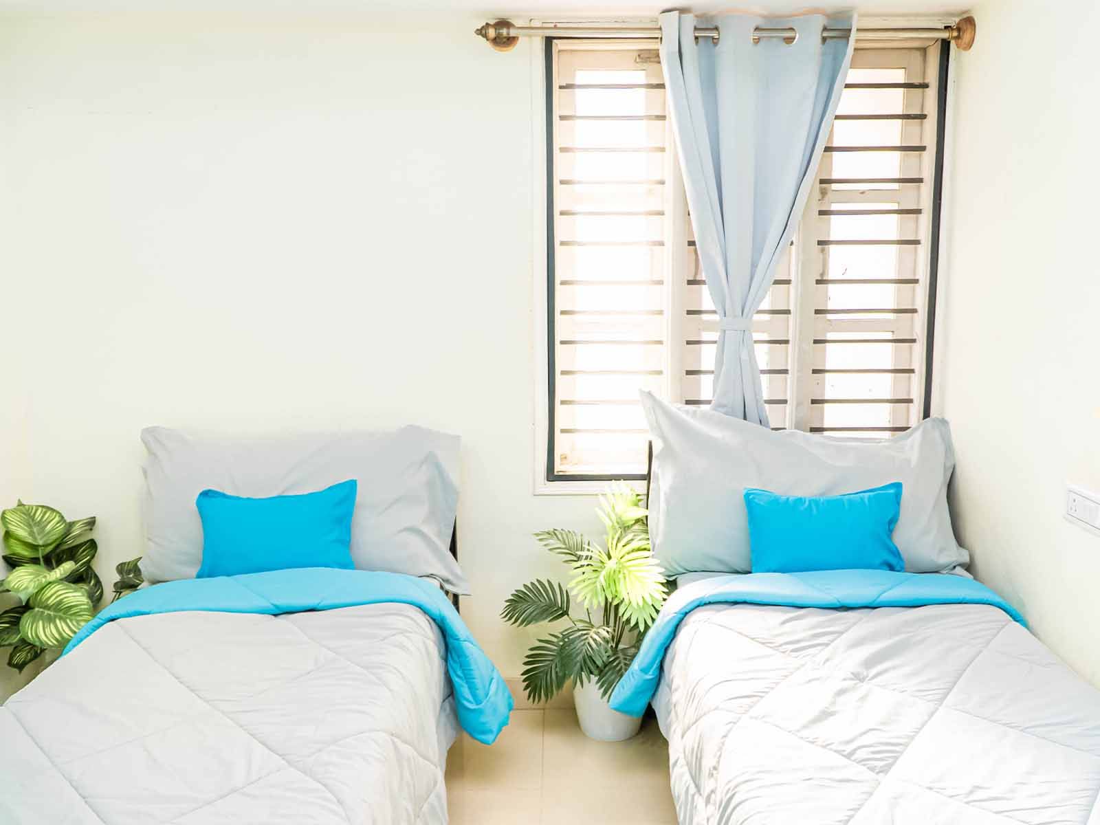 image_4533457_1a685faa-bb1b-44a4-a5c2-9f237156ae4c