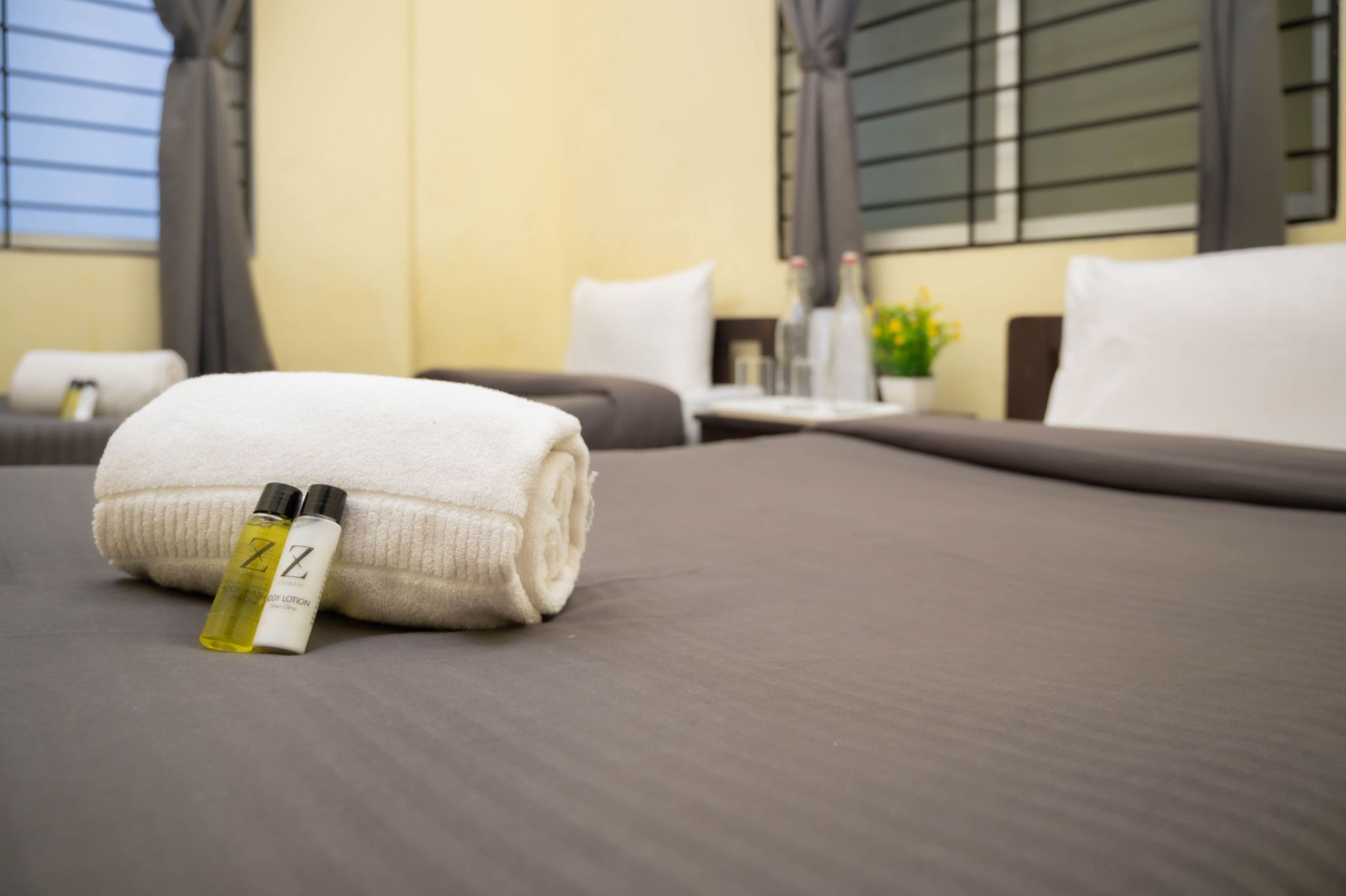 Zolo Pragma Standard Twin 2