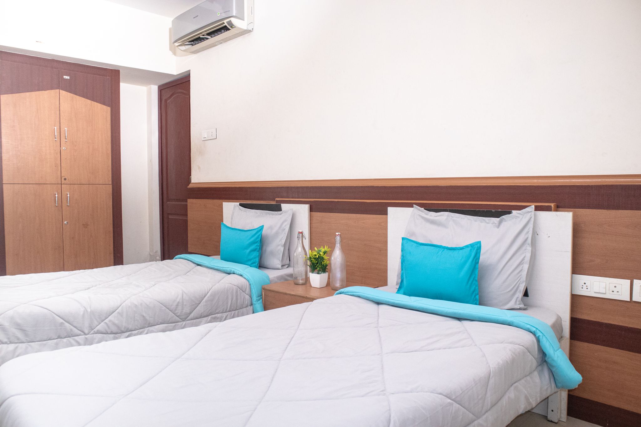 Zolo Troy Deluxe Twin 2