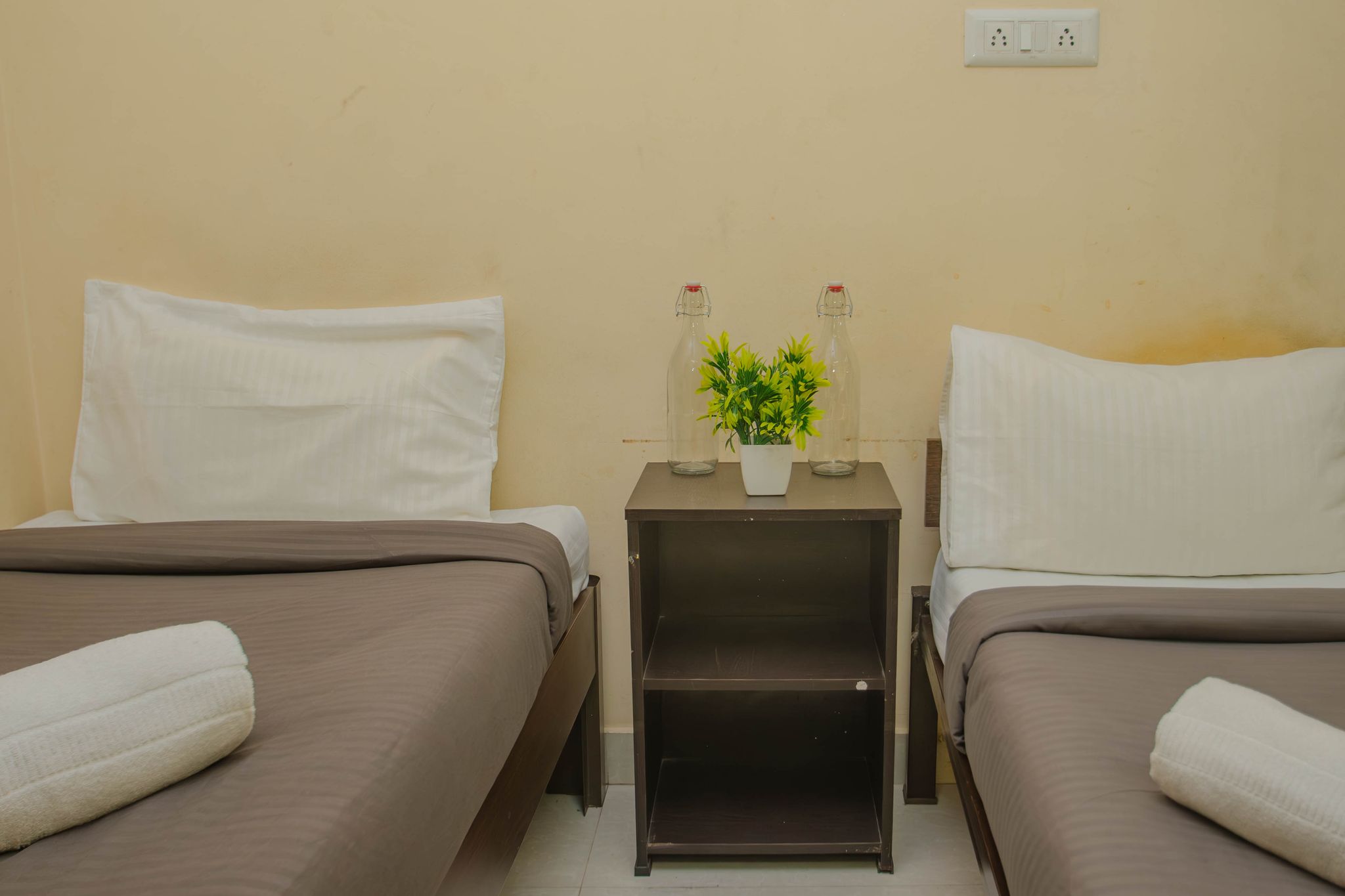 Zolo Typhoon Standard Twin