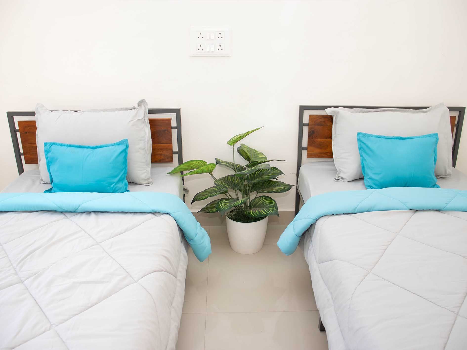 Zolo Vibrant Deluxe Twin 2