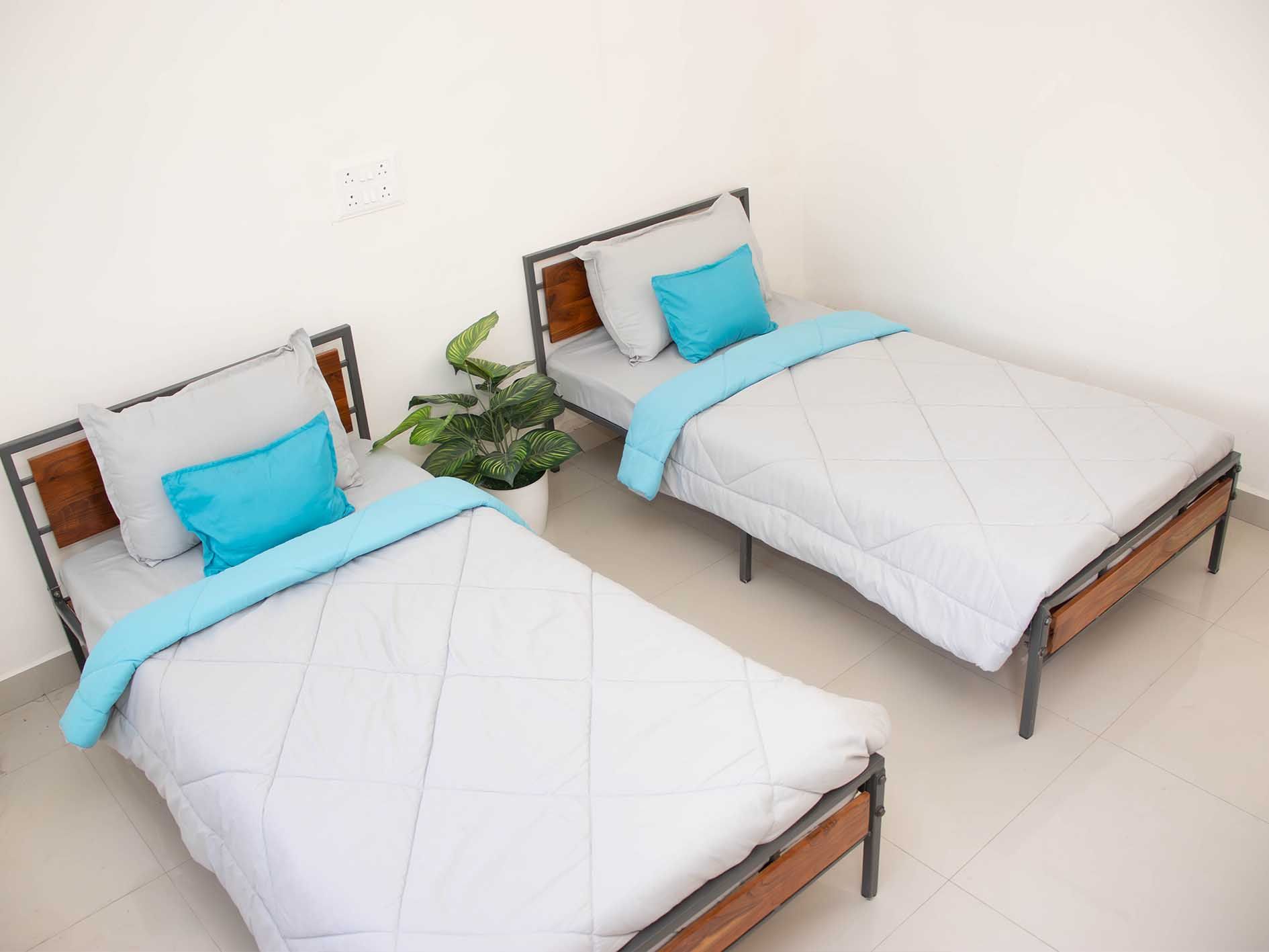 Zolo Vibrant Standard Twin 2