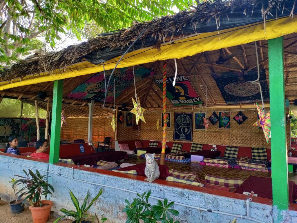 image_4533694_3de4de1c-5704-4033-8230-d41563a108b0