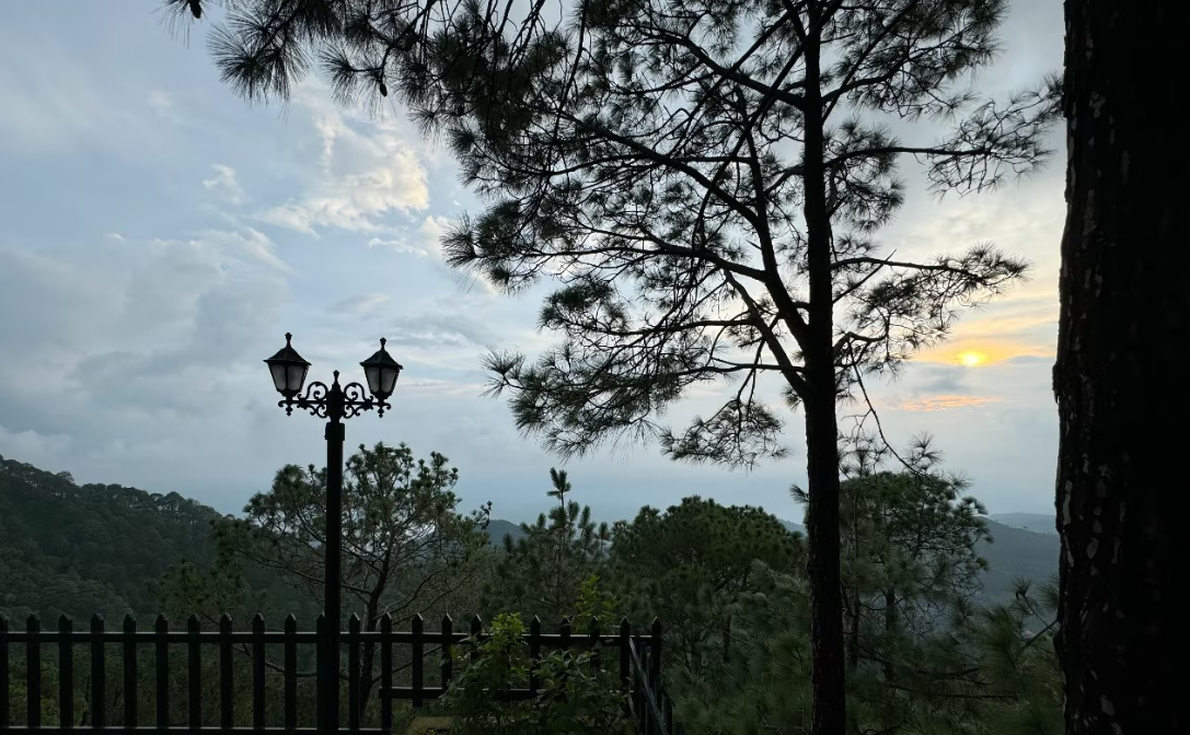 Hotel View