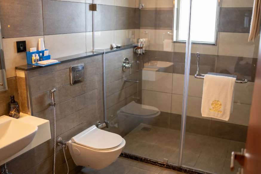 Deluxe Plus Room