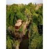 HAMPI'S WHISKERS RESORT