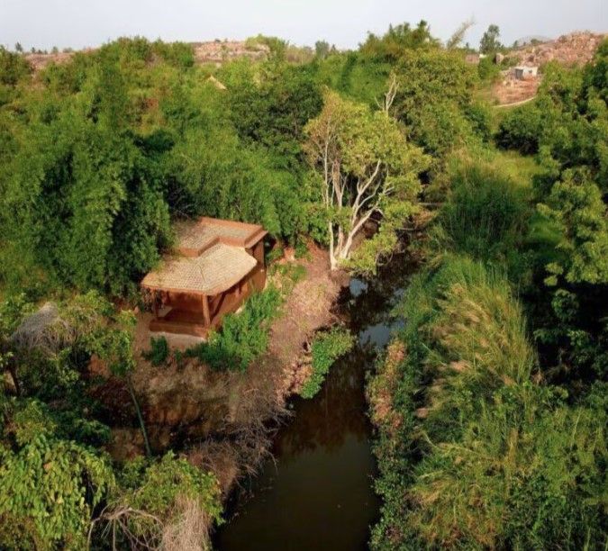 HAMPI'S WHISKERS RESORT