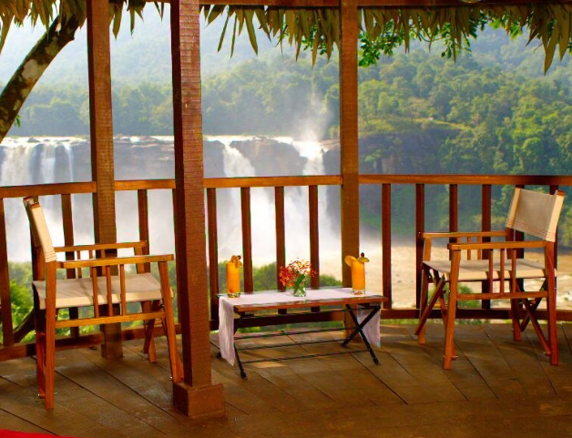 Tree House Room
