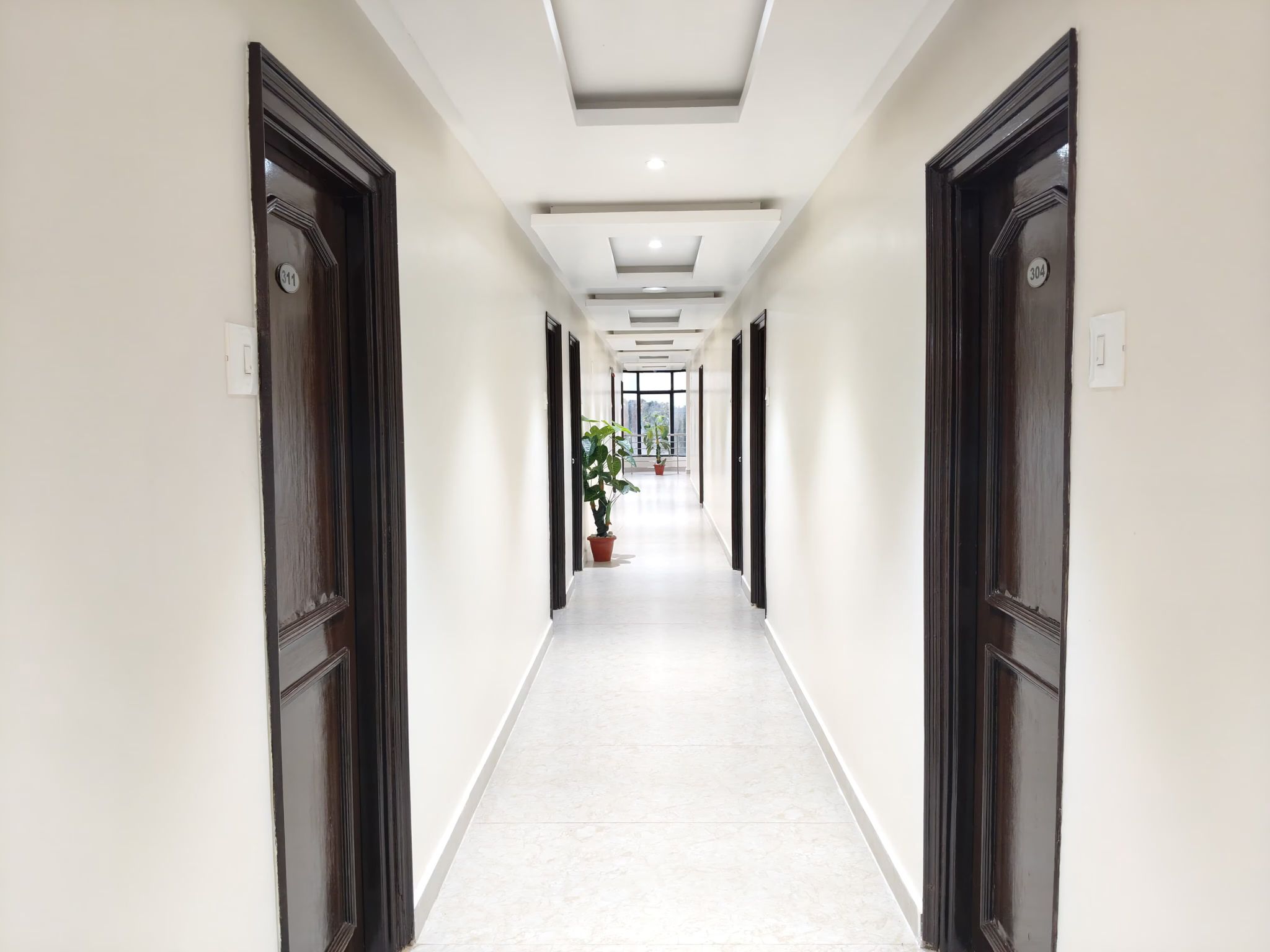 image_4535118_92e0db7a-9a2e-4621-94c2-292906f52a93