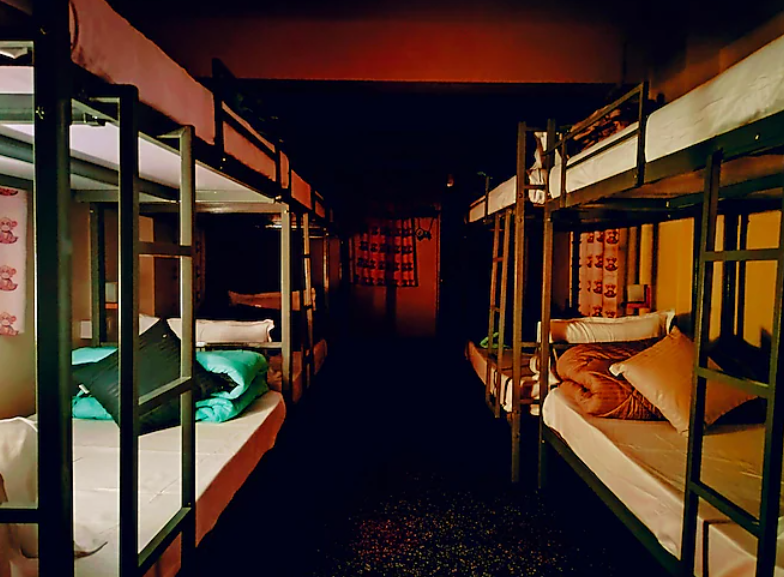 Hidden Monkey Darjeeling, Railway Station 8 Bedded Mixed Dormitory 3