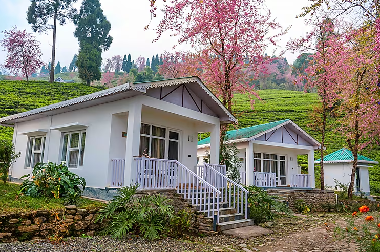 The Temi Bungalow, Eco Adventure Resorts Cottage