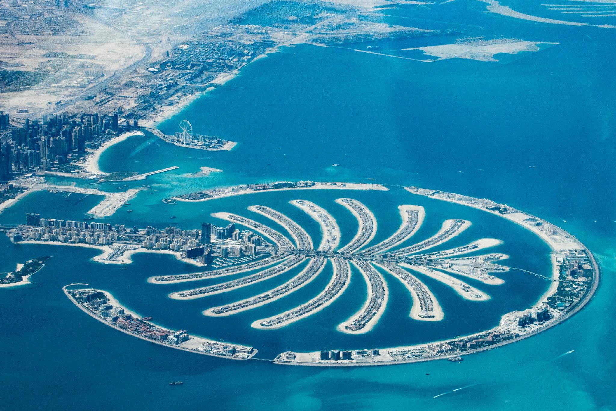 Fabulous Palm View