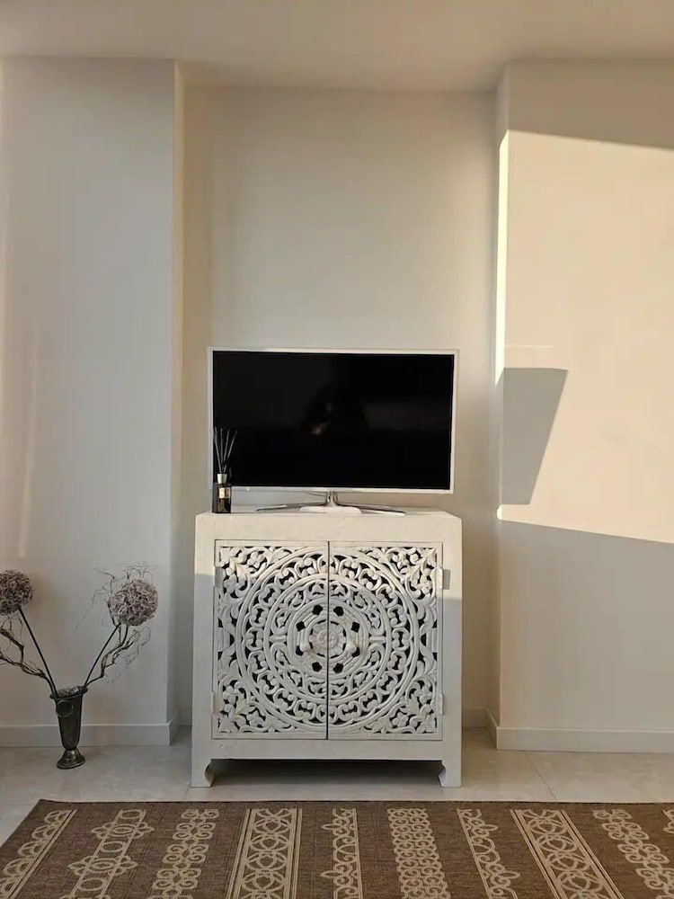 Television