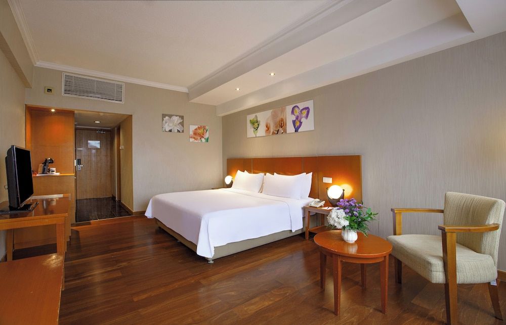 Deluxe Double or Twin Room, City View