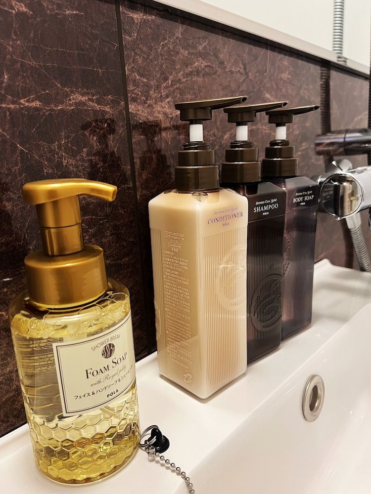 Nplus HOTEL Tokyo Nihonbashi Business Double Room, Private Bathroom, City View 3