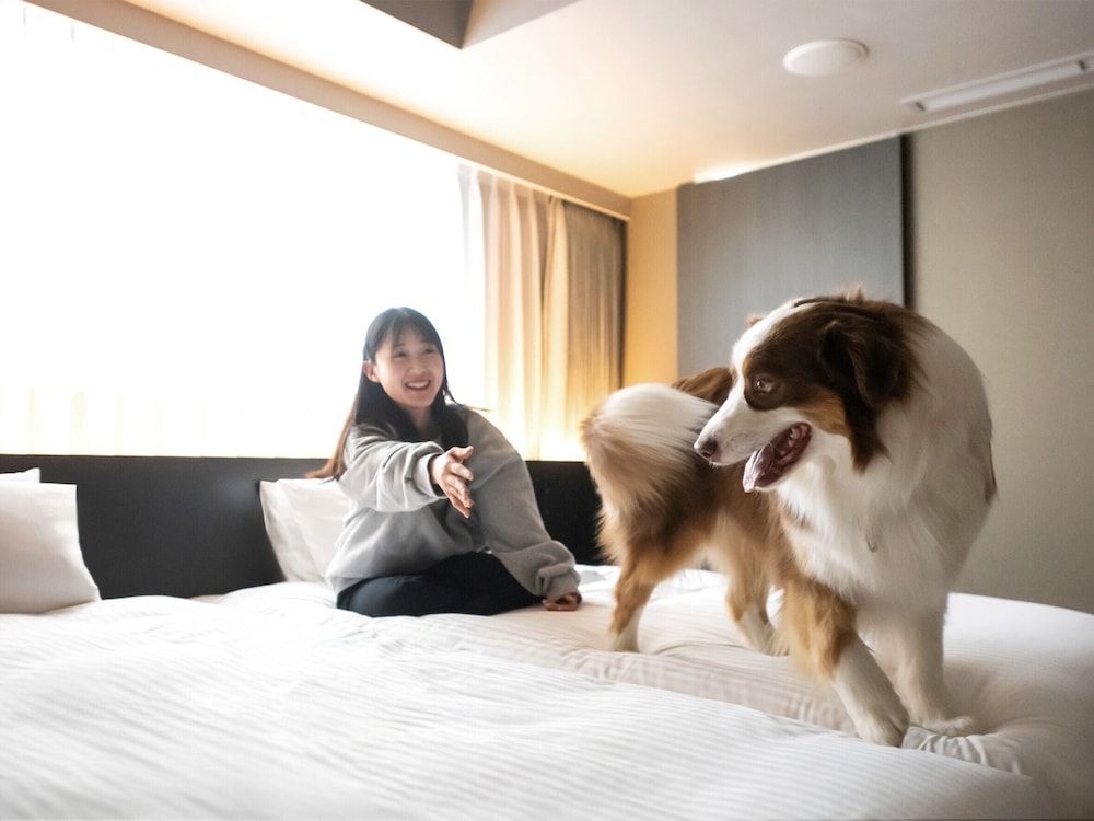 Deluxe Twin Room, Non Smoking (Dog Friendly)