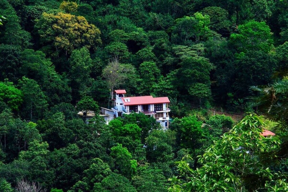 The Springfields Kandy