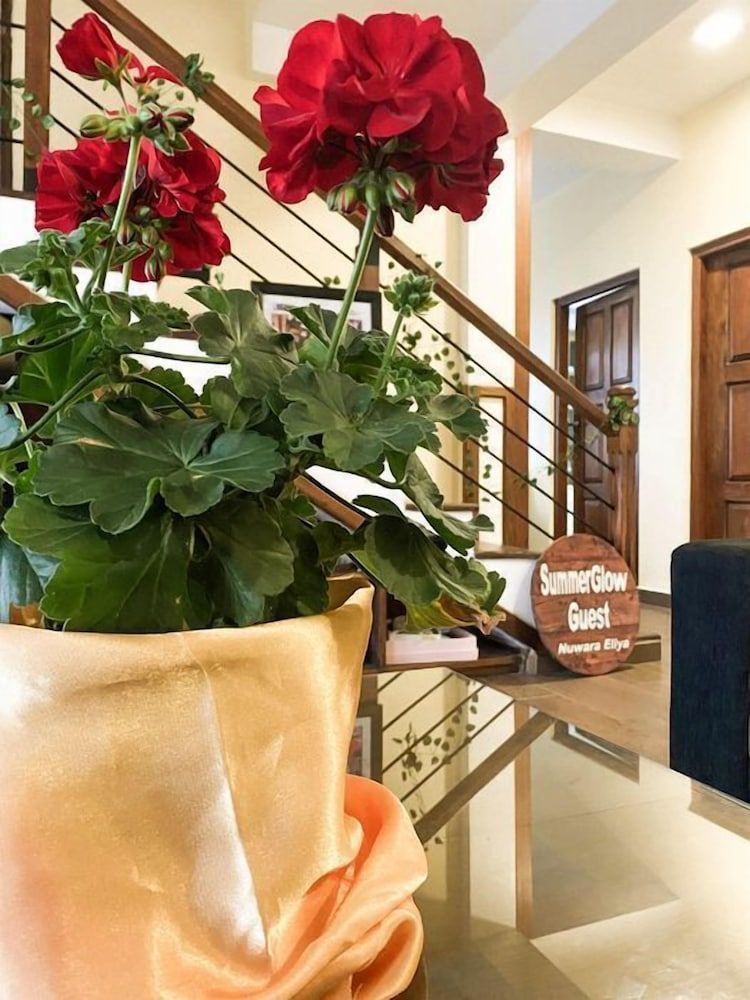 Summer Glow Guest - Nuwara Eliya