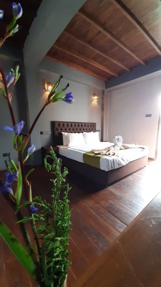 Tea Mount Forest Hotel Superior Double Room, 1 King Bed, Non Smoking, No Windows 5