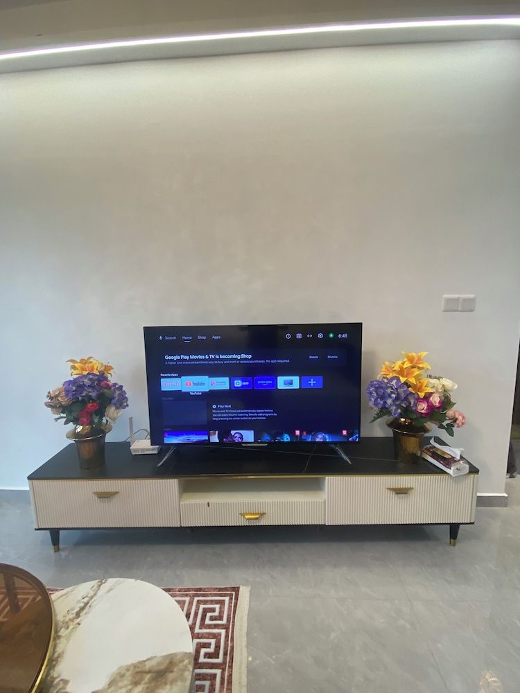 Television