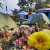 Moonlight Homestay And Camping Site