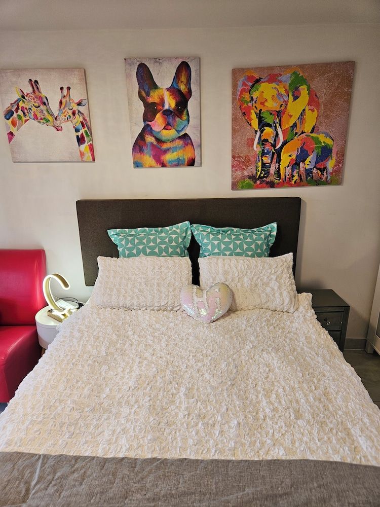 23 Studio Apartment in Mount Albert