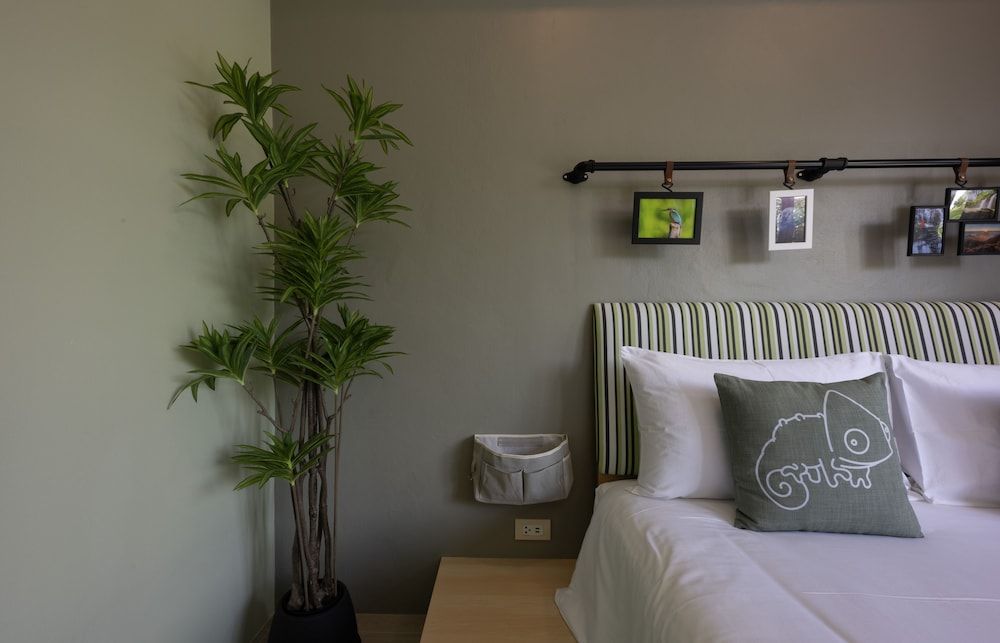 Chamemon Bed Phuket Town Family Junior Suite 3