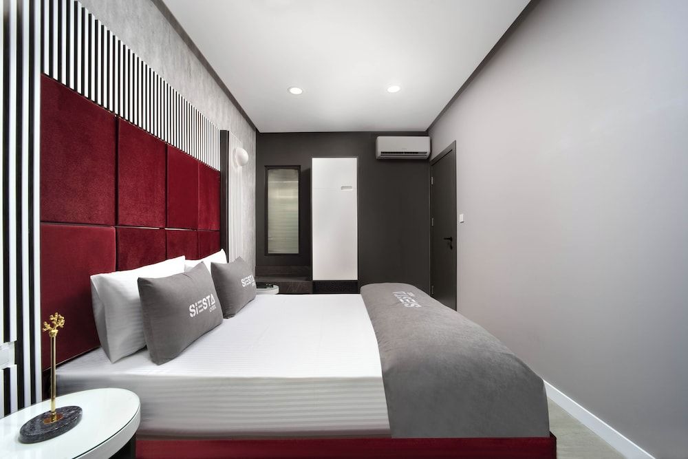 Elite Suite, 1 Queen Bed with Sofa bed