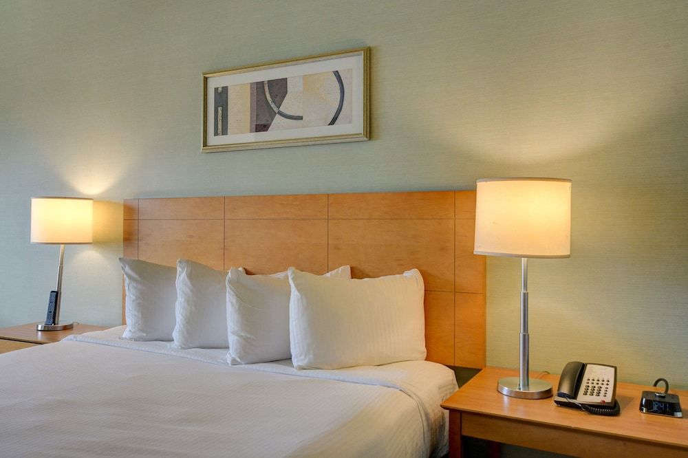 Sapphire Skyline Premium Suite Signature Suite 7
