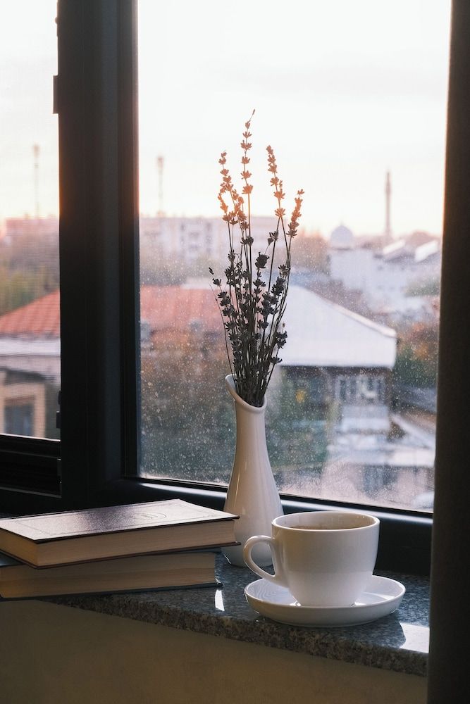 Parklane Hotel Standard Double or Twin Room, Non Smoking, City View 4