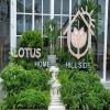 Lotus Home Hillside
