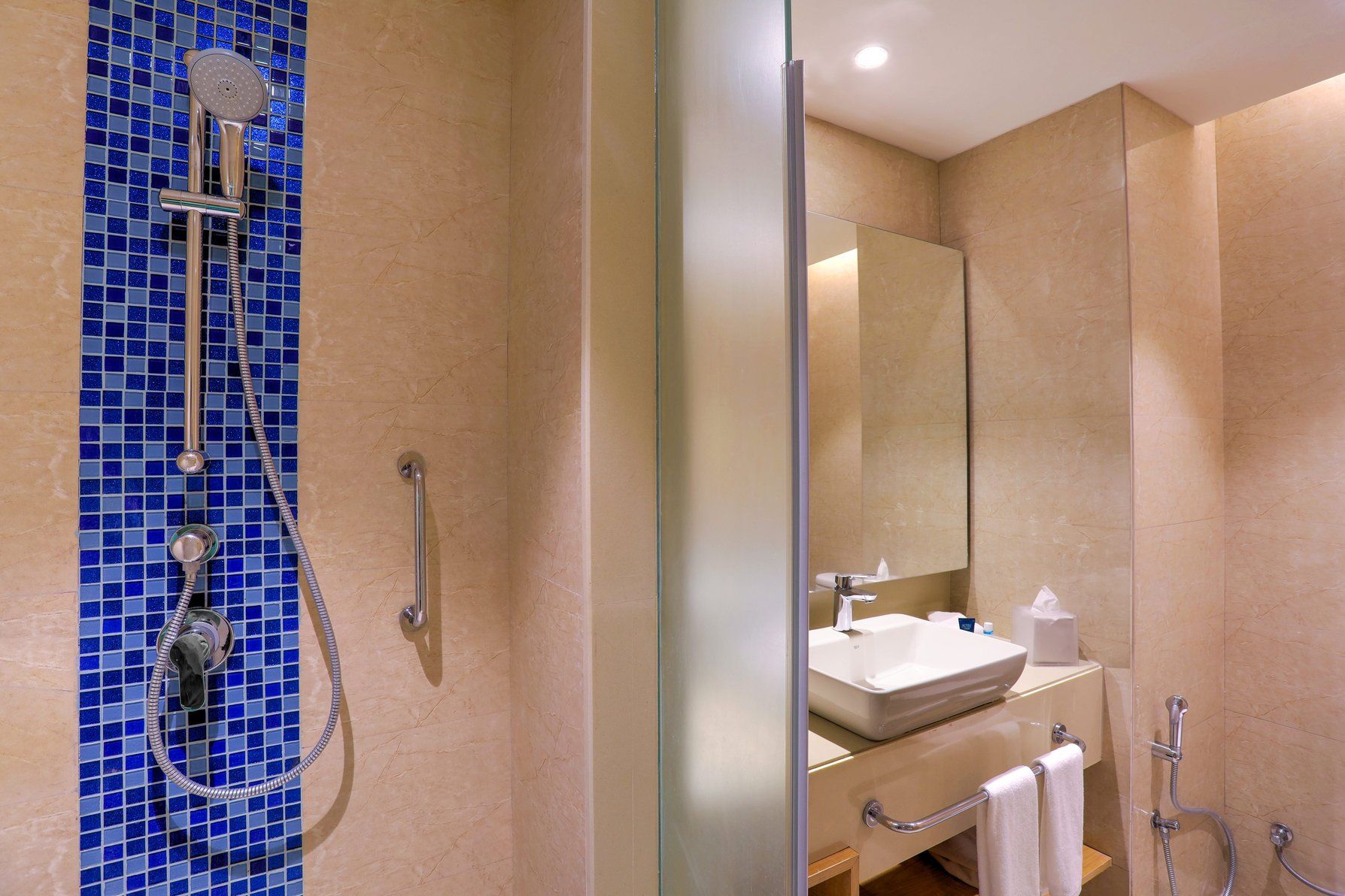 Guest Bathroom – Walk-In Shower