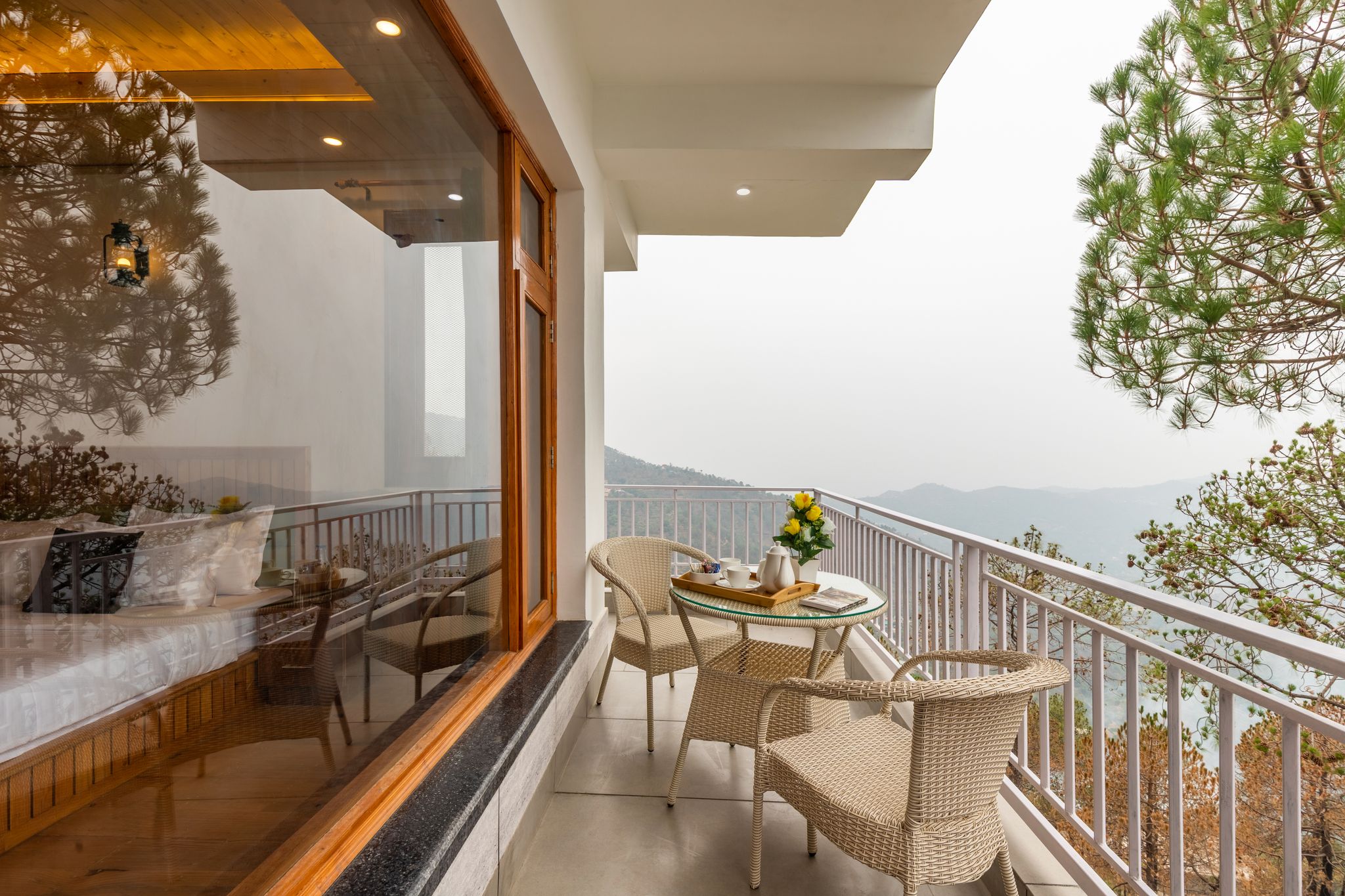 image_4561424_98a62ef1-e206-47d3-bd02-aa3ccdcdd484