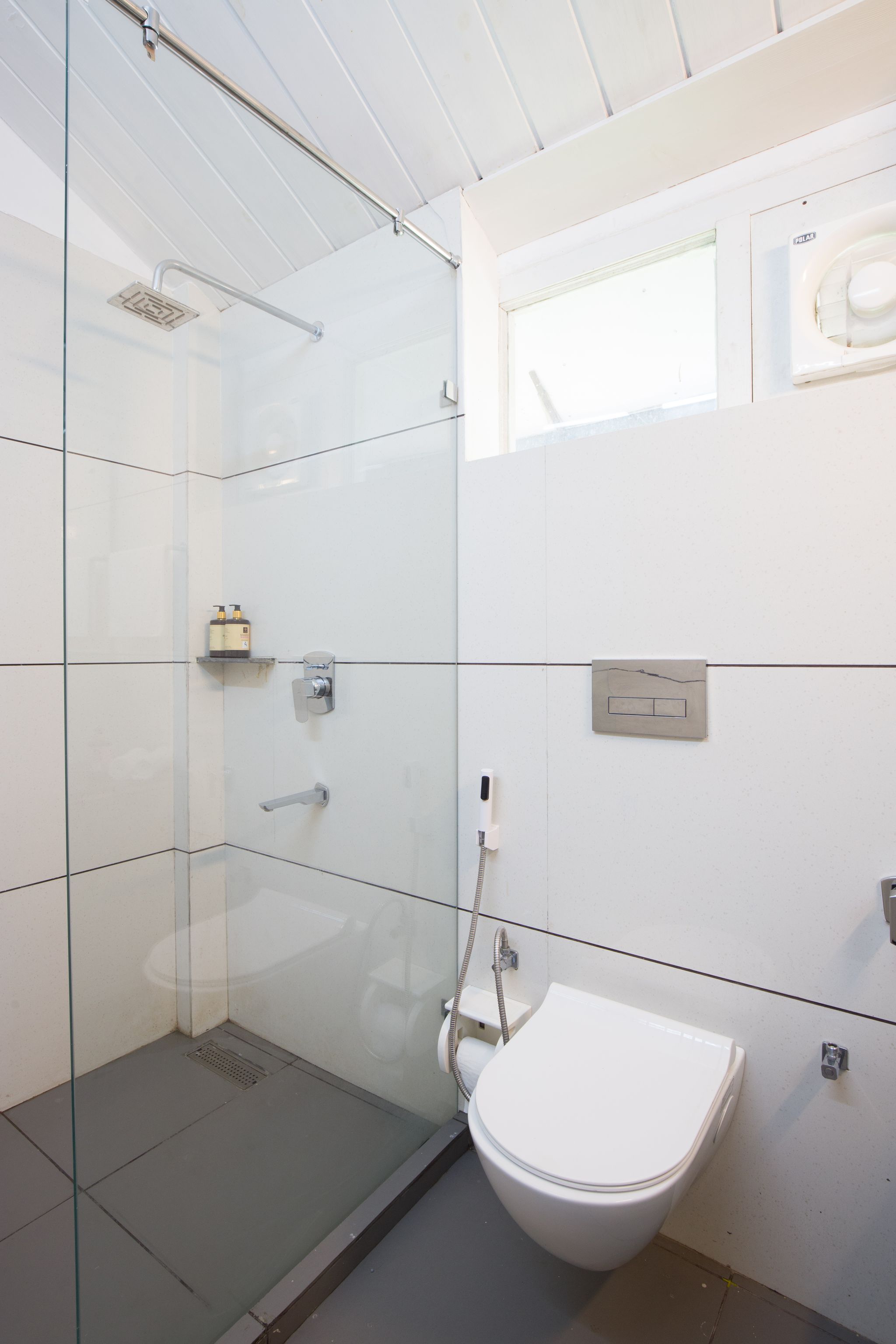 image_4561542_d1829675-aeda-4690-b448-6236e2e5292b