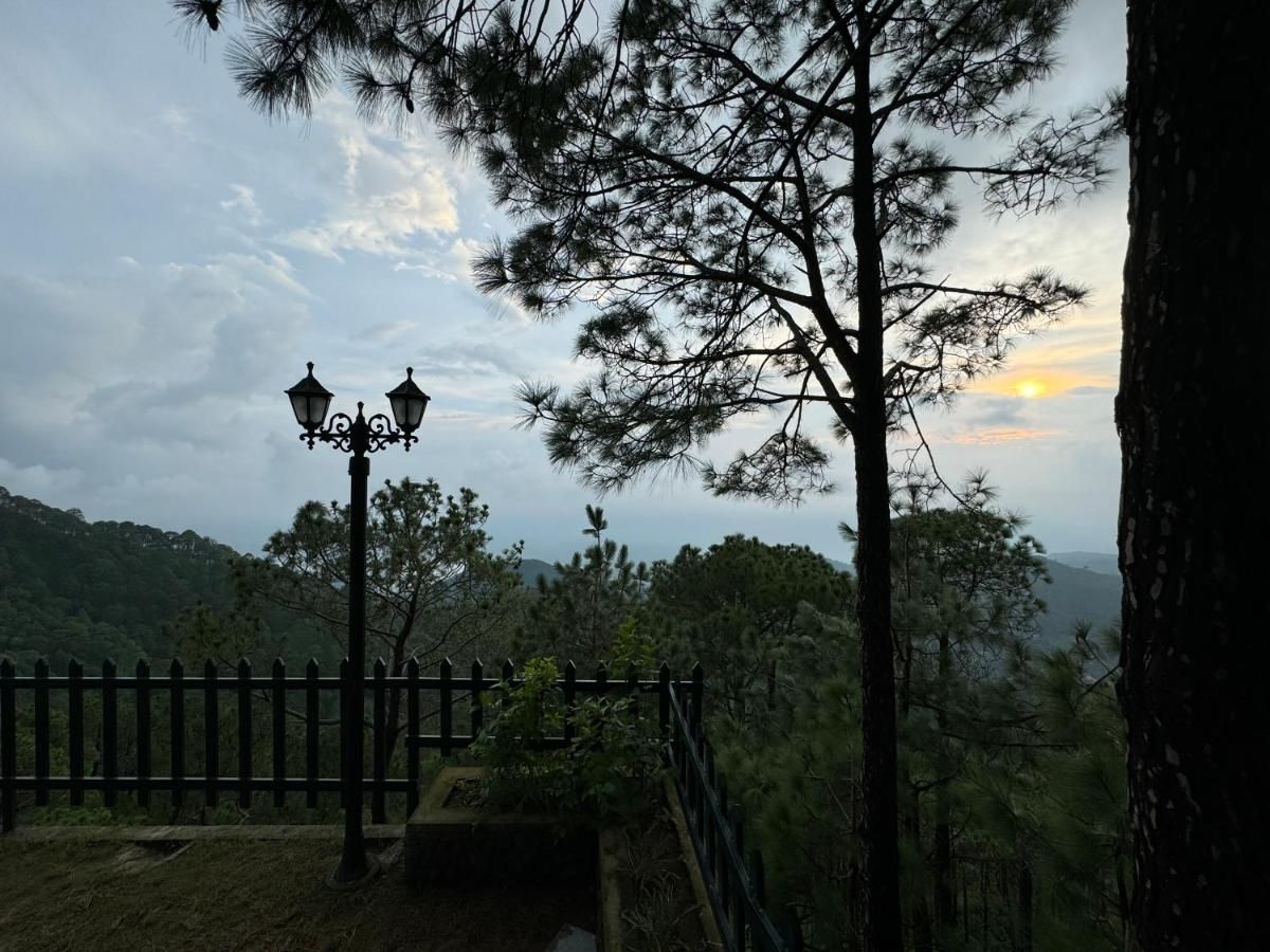 Hotel View