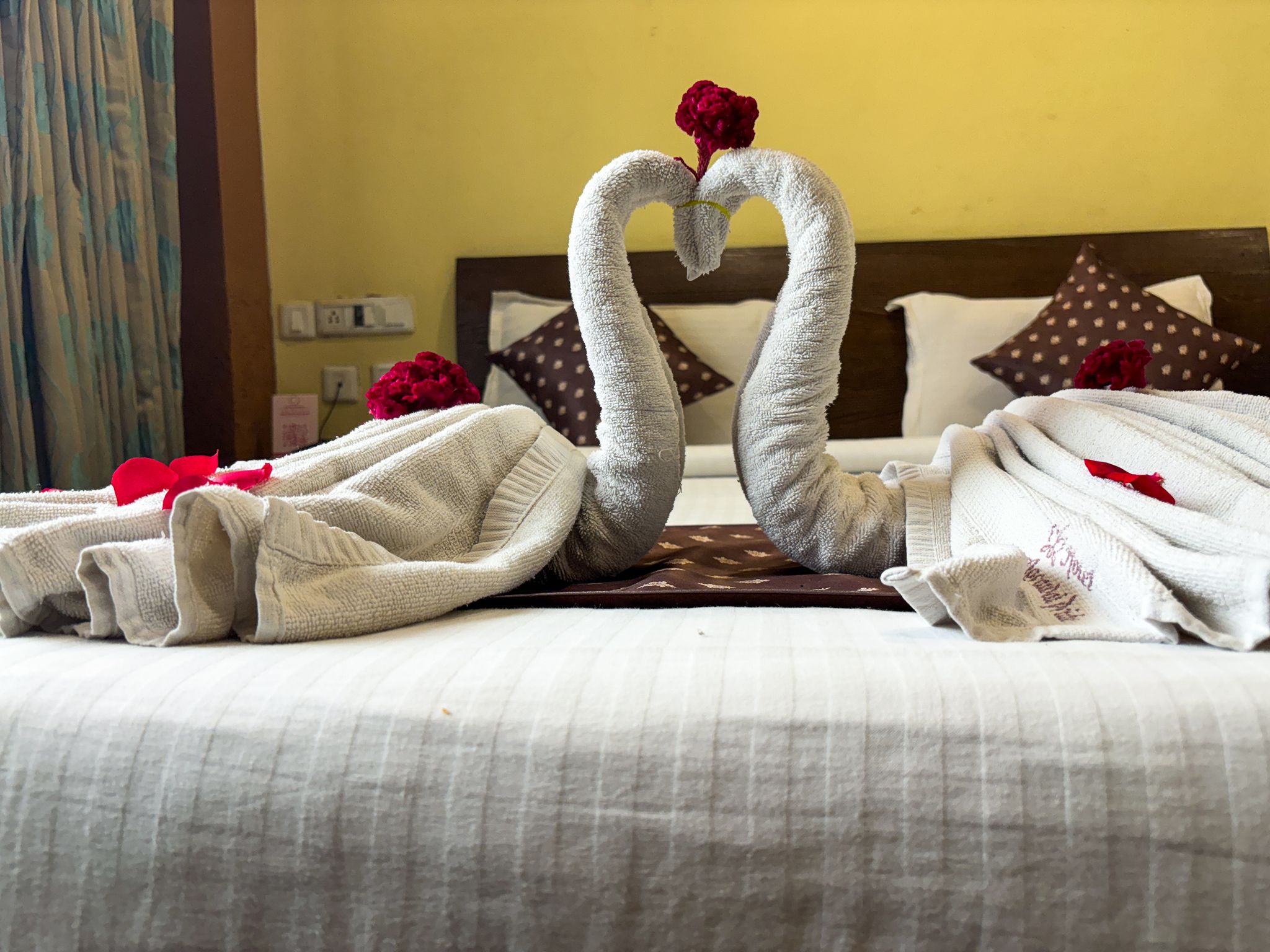 Hotel Agrawal Pride (300mtrs from Jagannath Temple, Puri) Standard Room 5