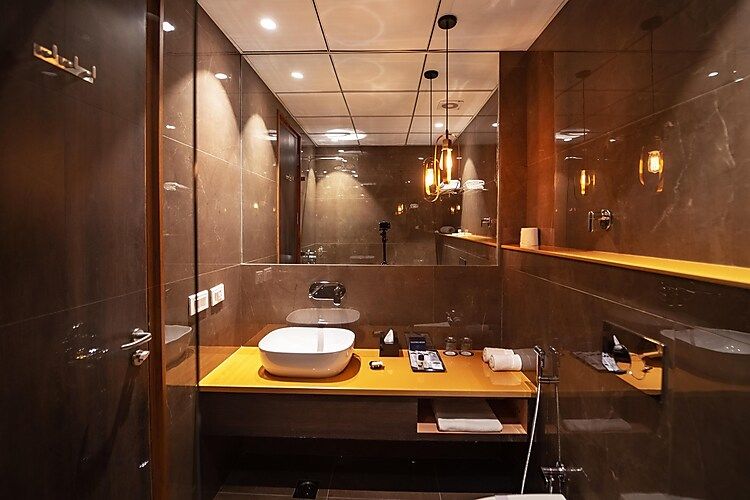 Palasa Hotel & Resort Parthive King Room 6