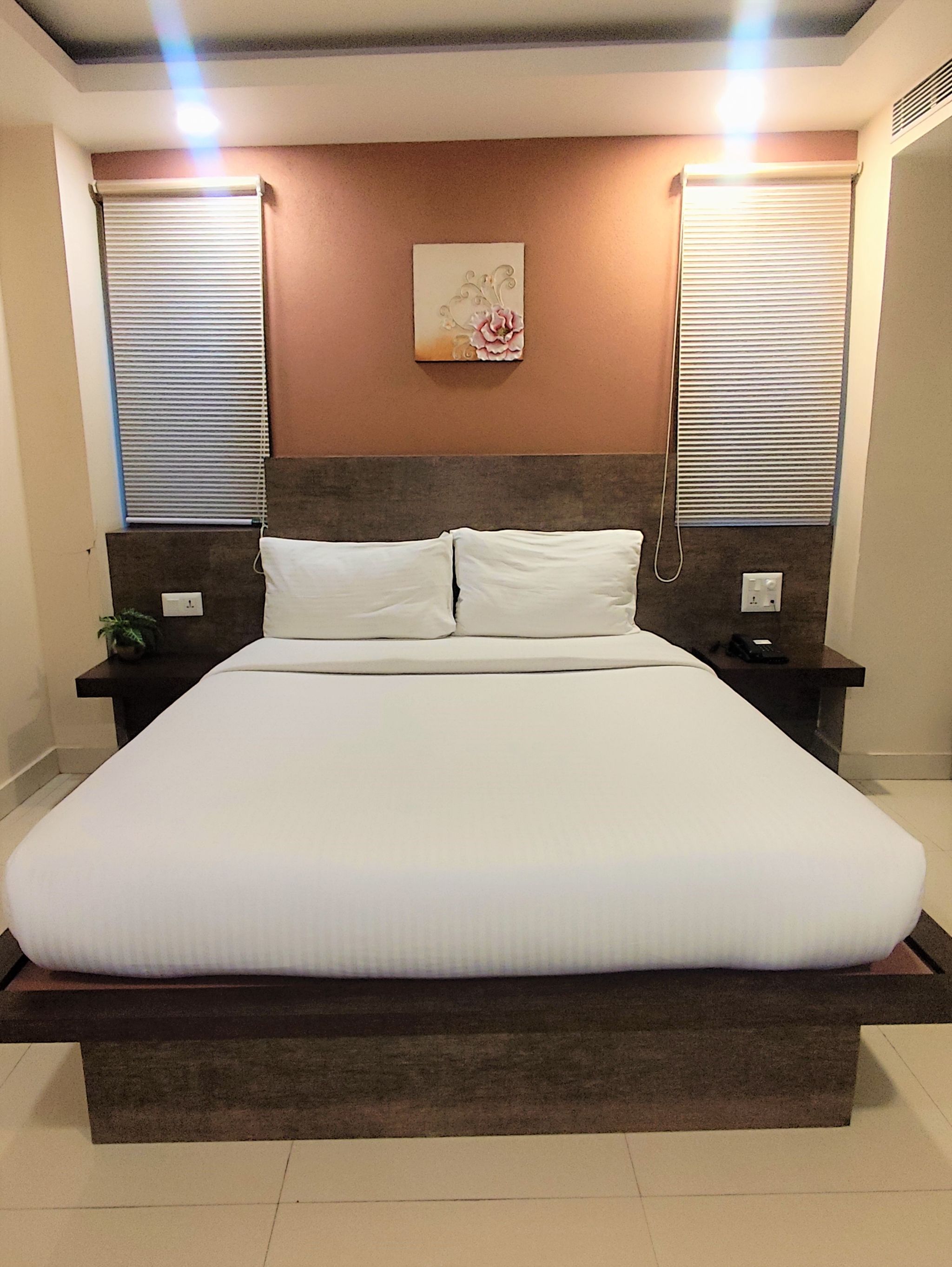 The Padma Hotel DELUXE NON AC QUEEN 2