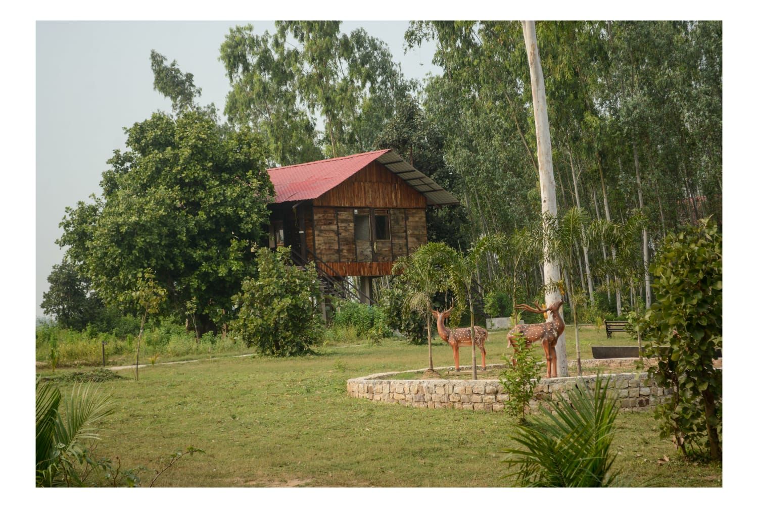 Muba Machaan
