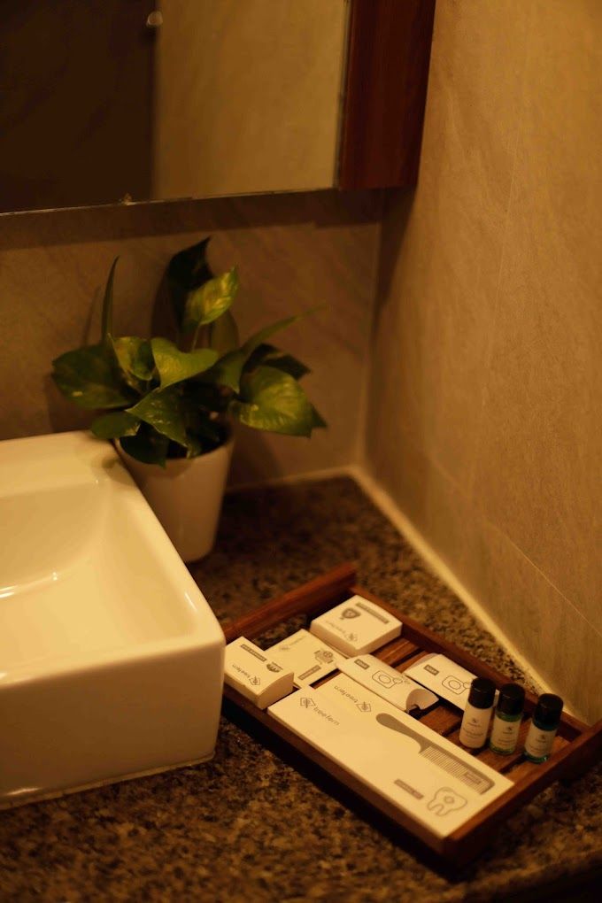 Hotel Tree Fern Executive - King Size 10