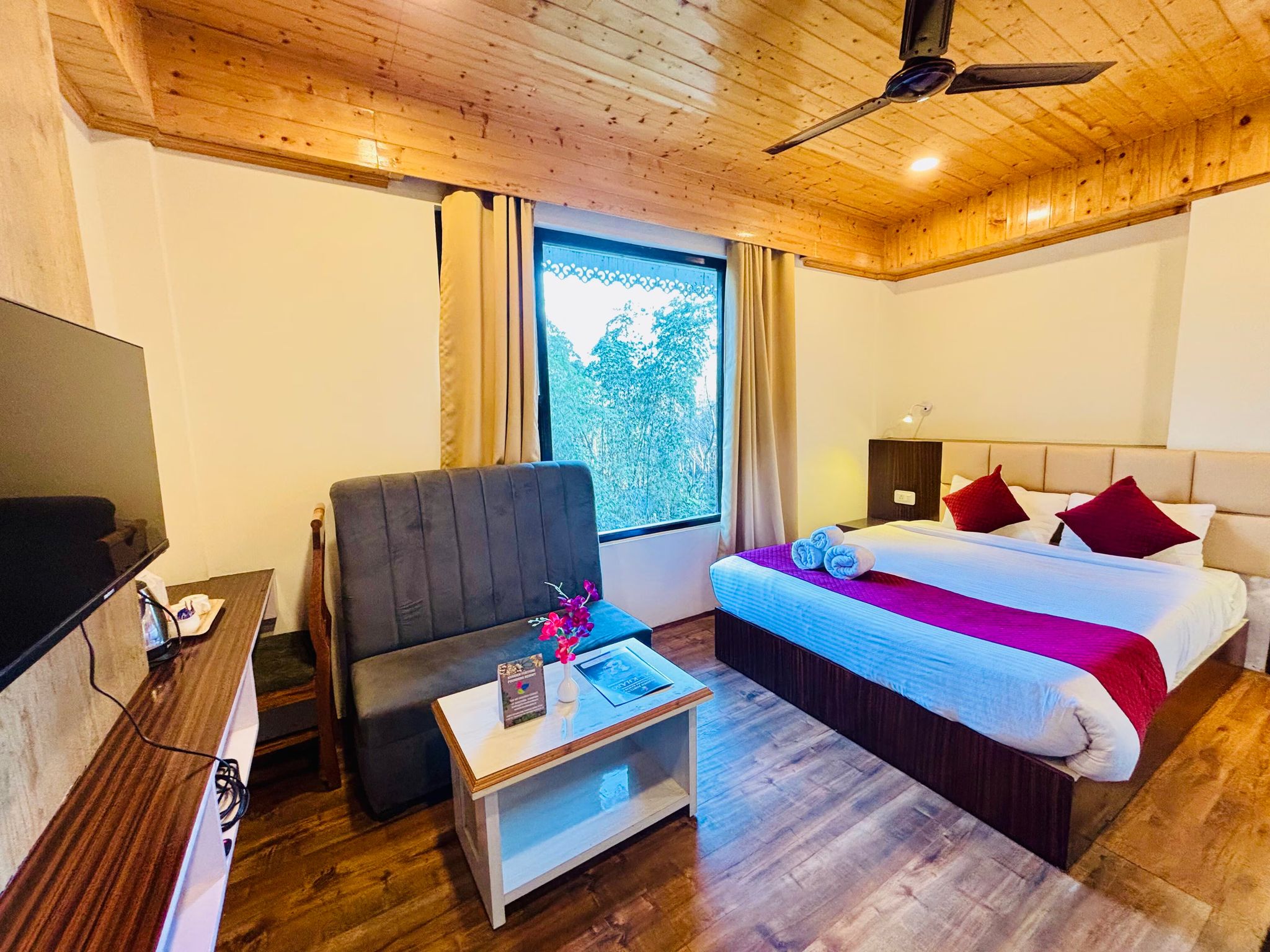 Mountain View Super Deluxe Rooms