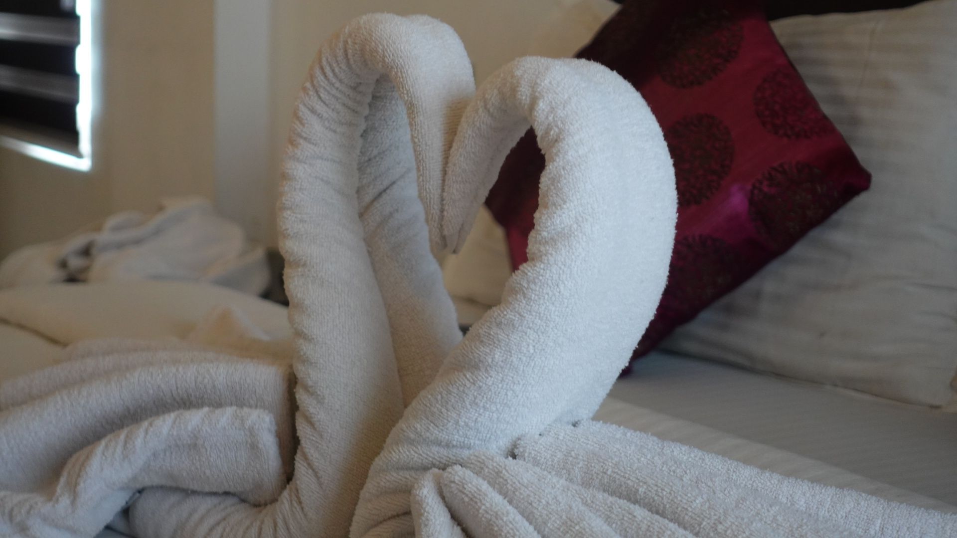 Himasailam Deluxe Room 18