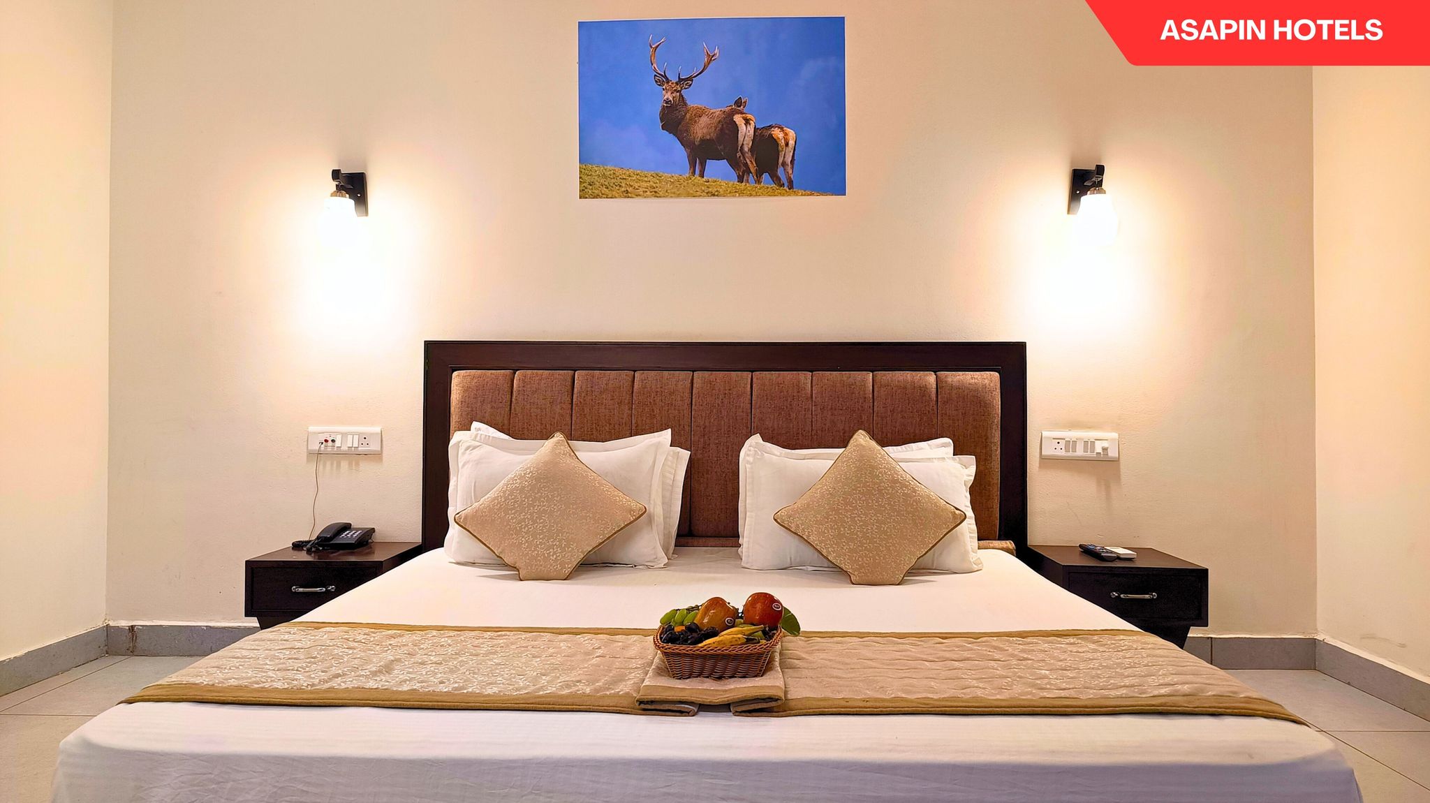 Suite Room