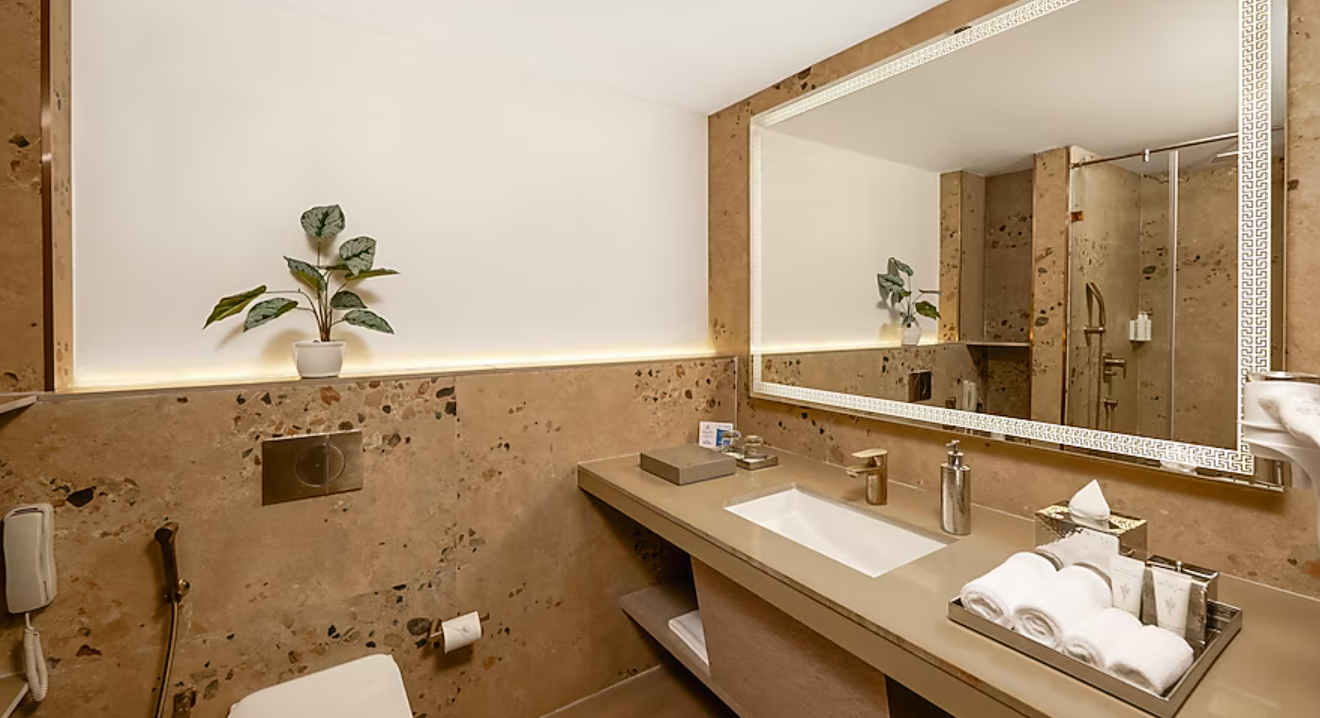 Deluxe Room with Terrace