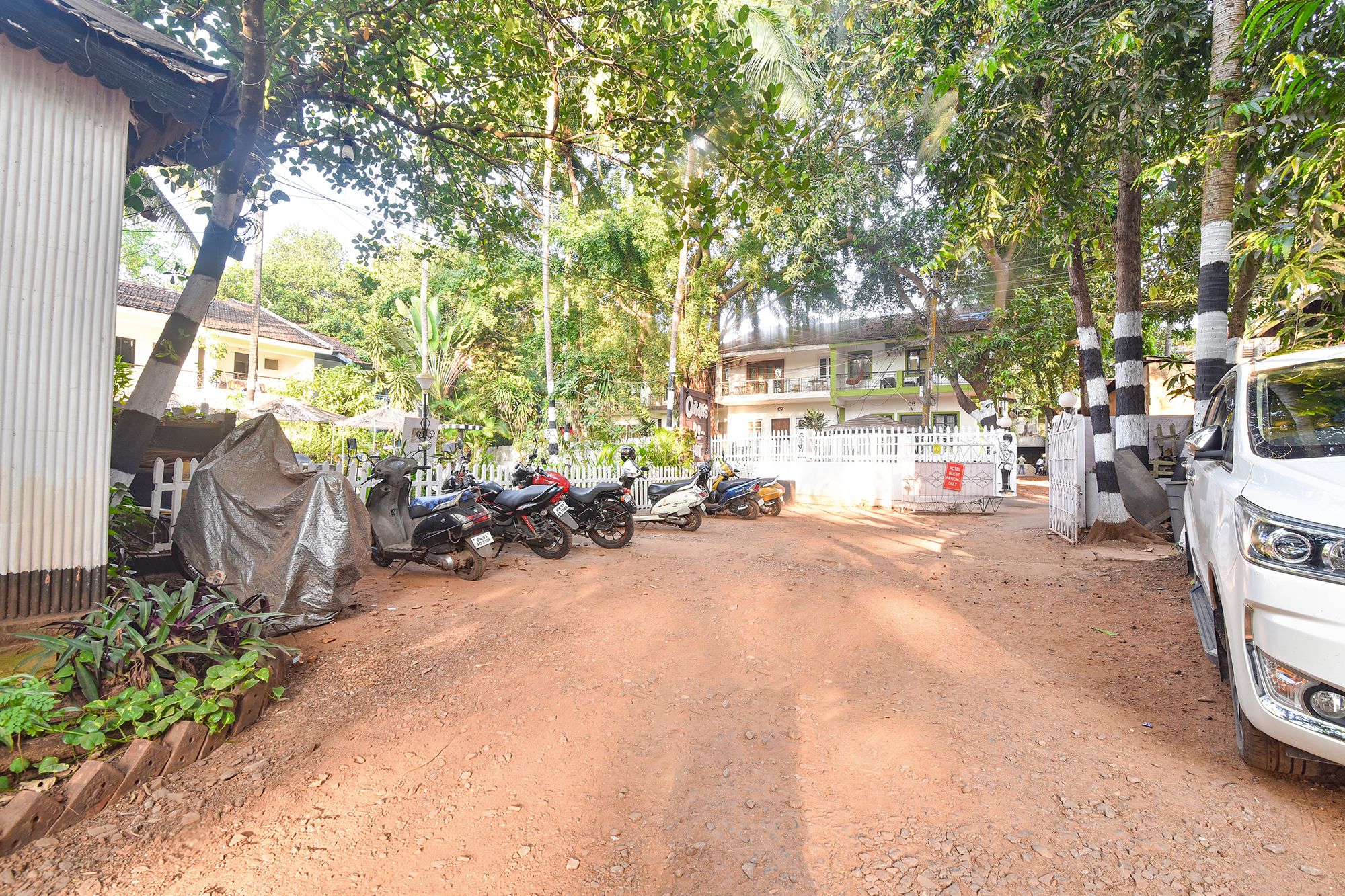 image_4563392_8364c10e-0799-4c59-9c6c-442dd84cb081