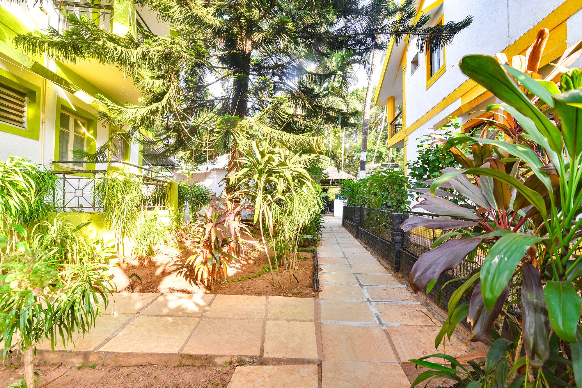 image_4563392_9bb946e2-97ad-475e-8c21-fb9dcadf31f9