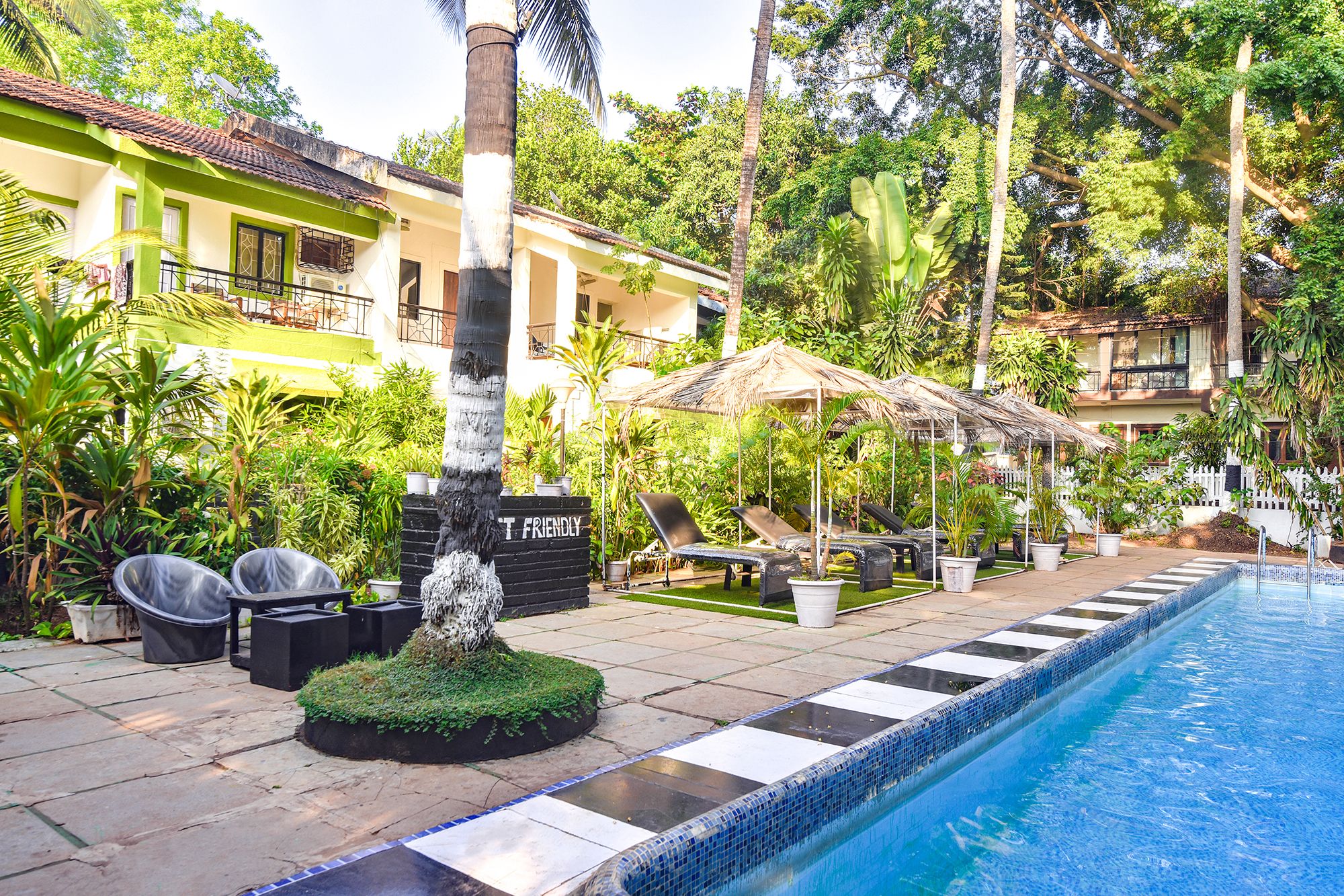 image_4563392_b5242dc4-72c3-4cd6-ad6f-0f0f11d4b332