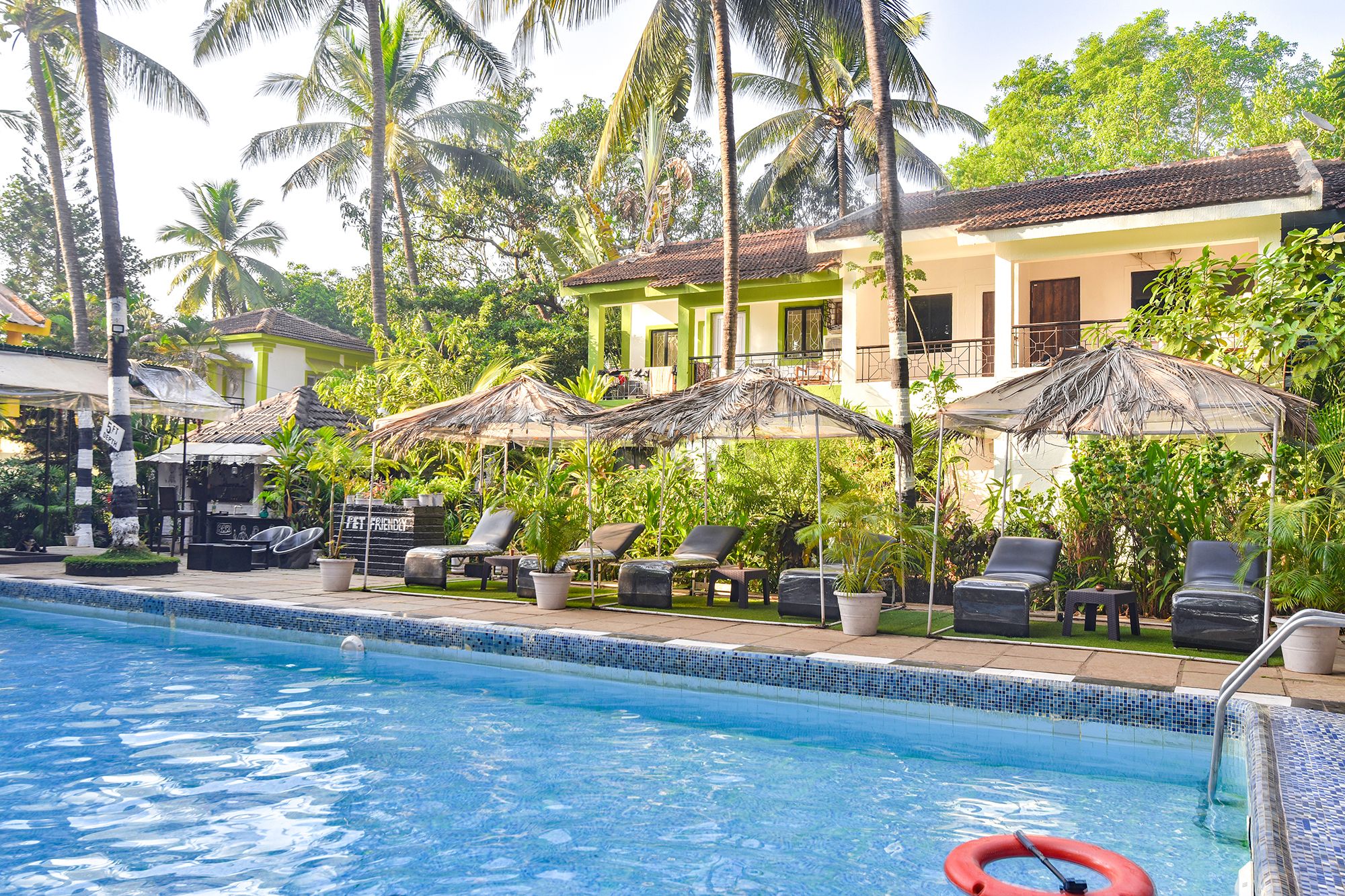 image_4563392_b6c3b3bb-0dde-4e59-af85-923dcb6b88f4