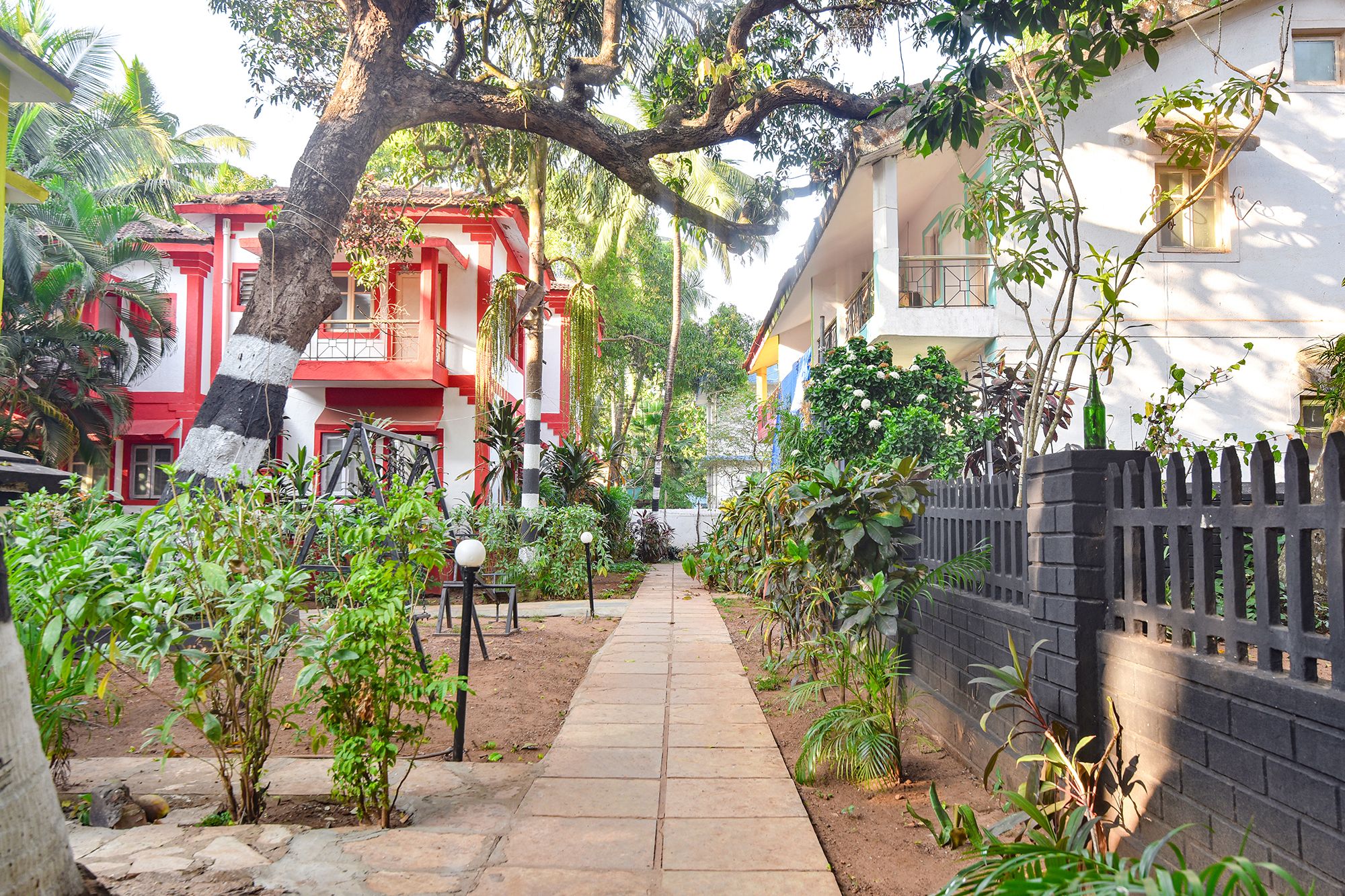 image_4563392_e0026330-d197-41b0-a923-dd96b84d9e5a